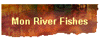 Mon River Fishes