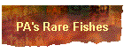 PA's Rare Fishes