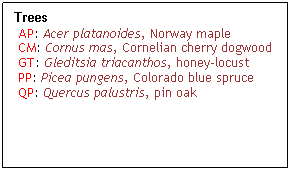 Text Box: Trees
 AP: Acer platanoides, Norway maple
 CM: Cornus mas, Cornelian cherry dogwood
 GT: Gleditsia triacanthos, honey-locust
 PP: Picea pungens, Colorado blue spruce
 QP: Quercus palustris, pin oak
 
 
 
 
 
