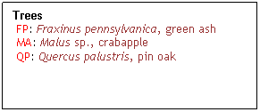 Text Box: Trees
 FP: Fraxinus pennsylvanica, green ash
 MA: Malus sp., crabapple
 QP: Quercus palustris, pin oak 
 
